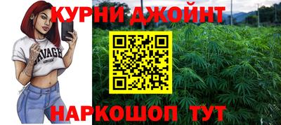 гидра Шебекино