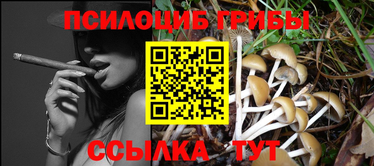 Псилоцибиновые грибы Cubensis Белебей