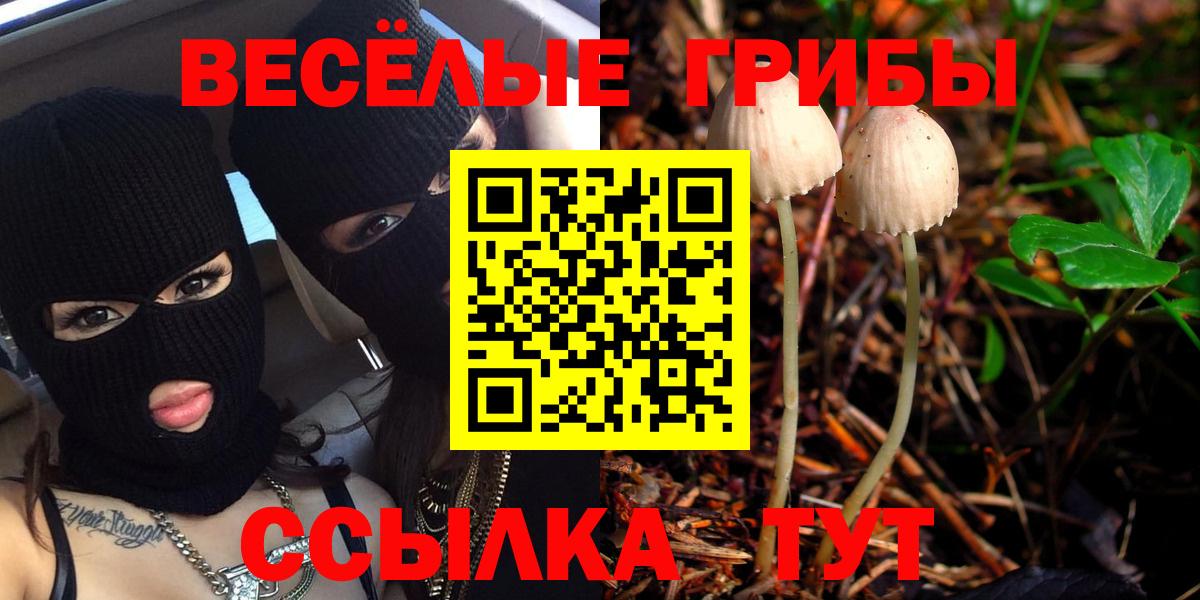 Псилоцибиновые грибы мицелий  Вход с VPN  Белебей 